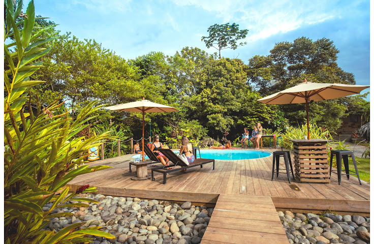 Socialtel Red Frog by null