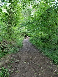 Prior’s Wood bristol