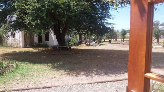 BOERFONTEIN Home of Olivision