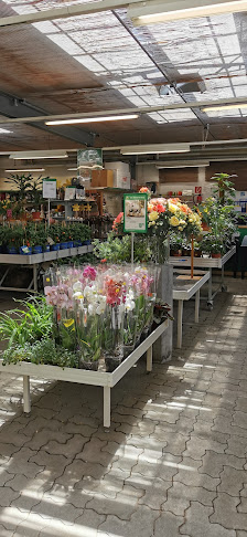 Lagerhaus Grödig Pflegerstraße 26, 5082 Grödig, Österreich