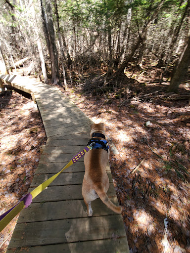 Witt's End Trail - Pleasant Street entrance/parking - Thumbnail