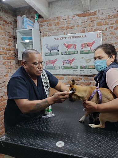 VETERINARIA JUÁREZ ‍