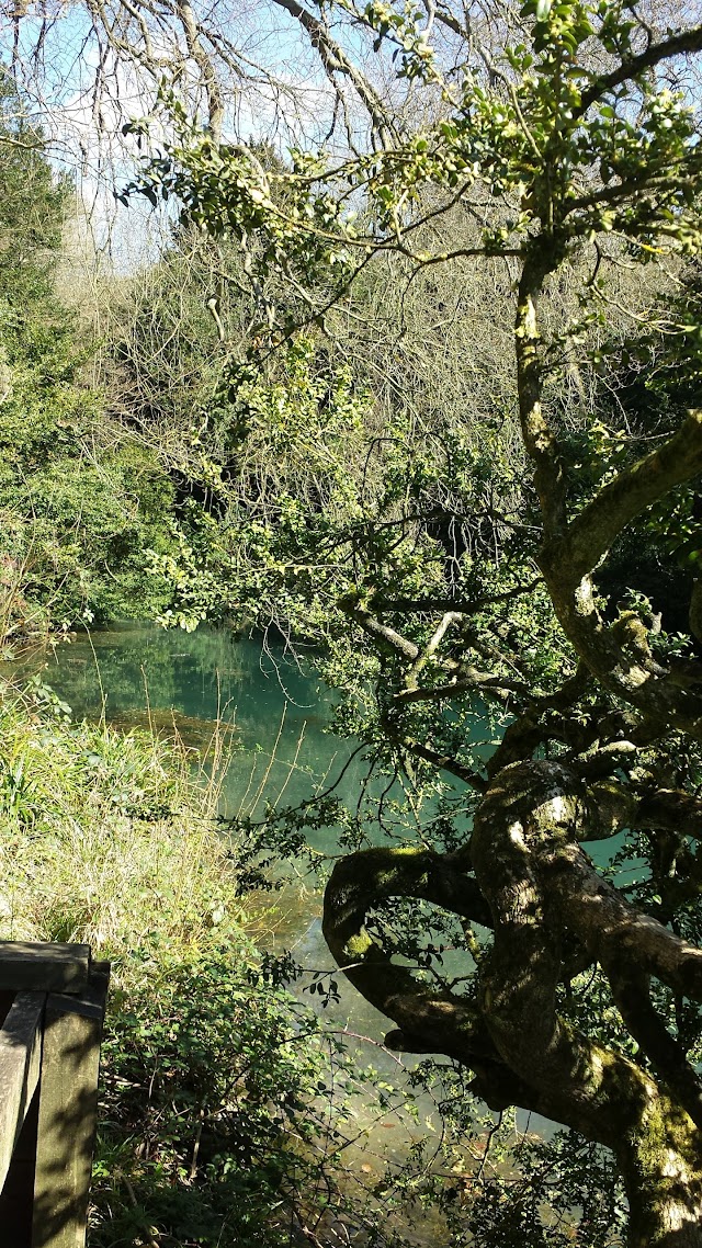 Silent Pool