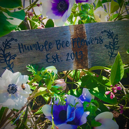 Humble Bee Flower Farm - Thumbnail