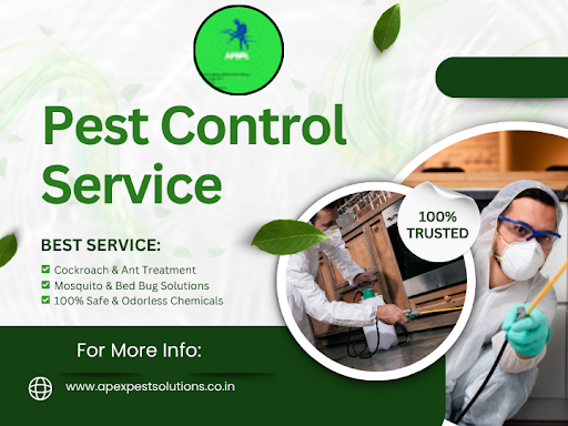 Our experts, duly trained, use government-approved chemicals, latest machinery, and eco-friendly…