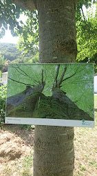 Photo n°6 de Camping écovillage Soleil du Pibeste - Hautes-Pyrénées à Agos-Vidalos (Résidence hôtelière)