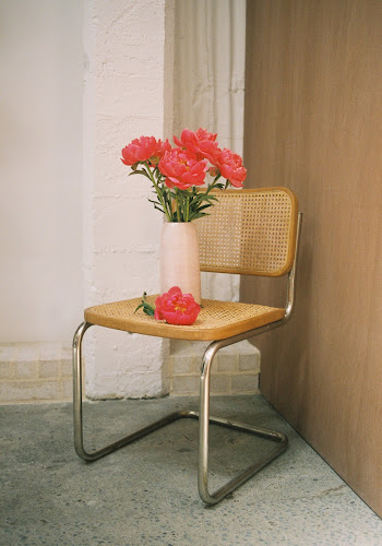 twenty-seven names Wellington - Clothing store