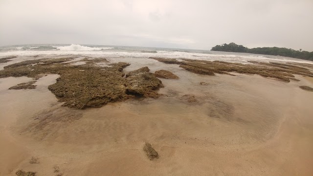 Playa Punta Uva