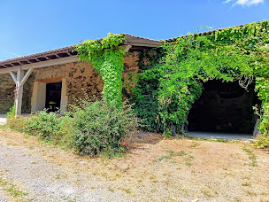 Photo n°6 de Vieilles & Belles pierres à Clermont-Ferrand (Consultant immobilier)