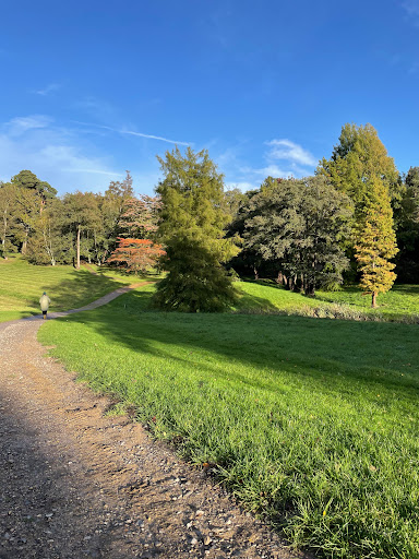 Car Park - Virginia Water - Thumbnail