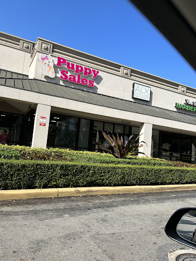 Puppy Sales