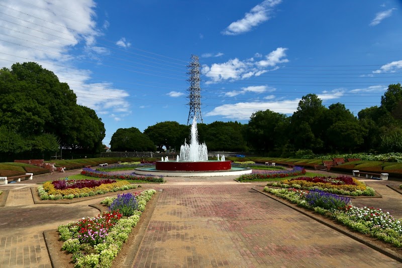 茨城県植物園 熱帯植物館 茨城県那珂市戸 植物園 グルコミ