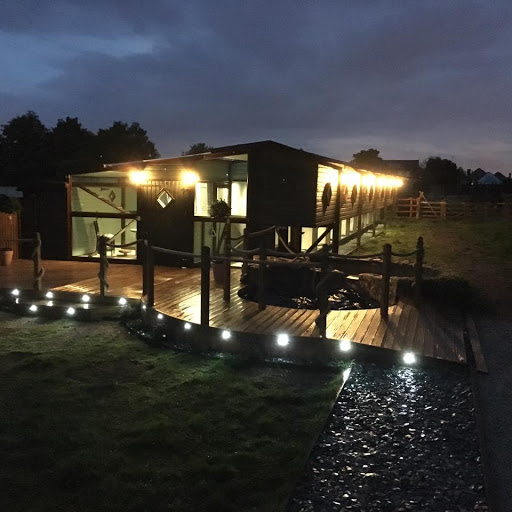 Lime Grove Cattery - Thumbnail