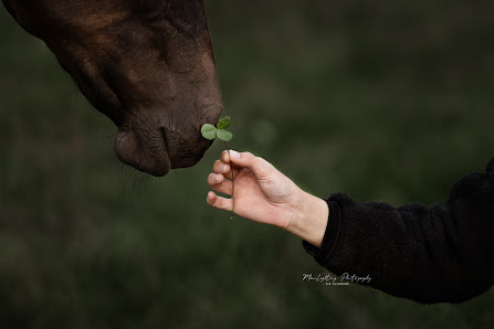Fotografie