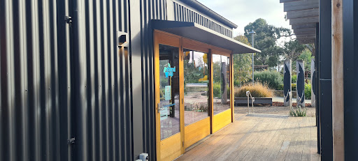 Shared Cup Cafe - Visual