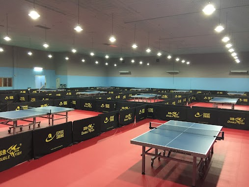 Expert Swing Table Tennis Centre, Author: Ken CHin