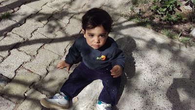 Photos of Aknes Bilişim