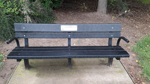 Donated Bench By A. Edwards