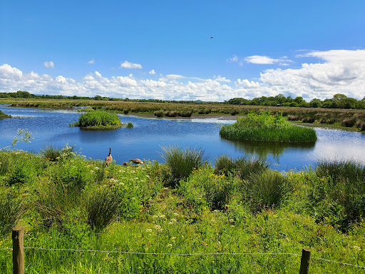 Catcott Complex Nature Reserve - Thumbnail