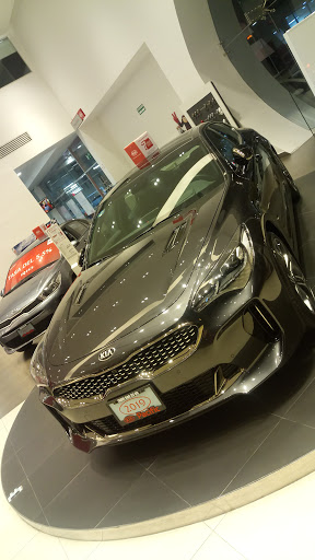 Kia Pacific - Thumbnail