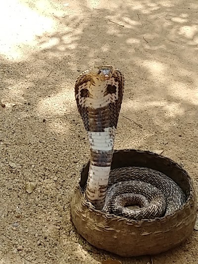 Photos of silanka viaggi