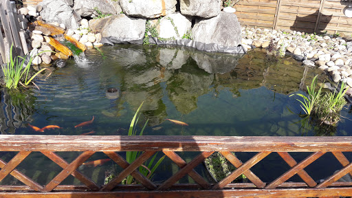 Rêve Exotique (Espace animalier + univers bassin de jardin) - Thumbnail