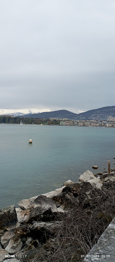 Geneva Academy of International Humanitarian Law and Human Rights Gallery - France