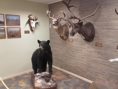 Hunting and Nature Museum