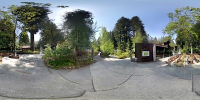 Photos of Mount Hermon Christian Conference Center