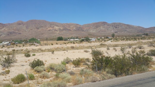 Elmer's Bottle Tree Ranch