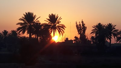 Photos of Presidential region in Radwaniyah