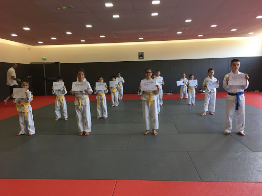 Monteux Taekwondo Club - Thumbnail