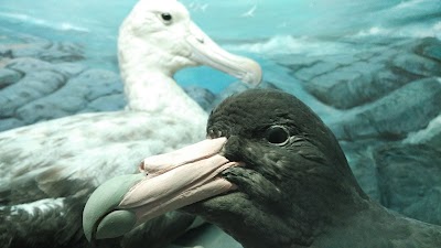 Photos of Durban Natural Science Museum