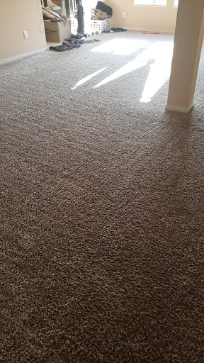 Friendly Carpet - Visual