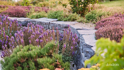 Dendron – Natural Garden Design · Gartenplanung Berlin