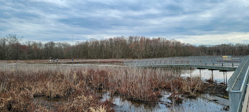 Observation Platform 2 - Visual