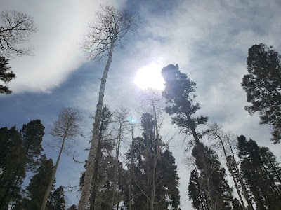 Enchanted Forest Cross Country Ski Area