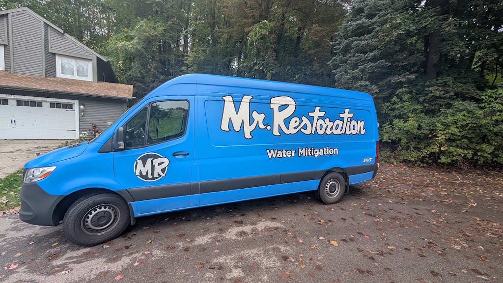 Mr. Restoration photo