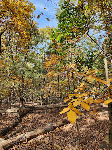 Hal and Berni Hanson Nature Center - Thumbnail