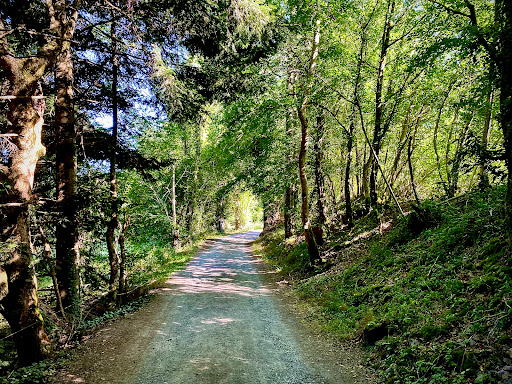 Cascade de Montfermy - Thumbnail