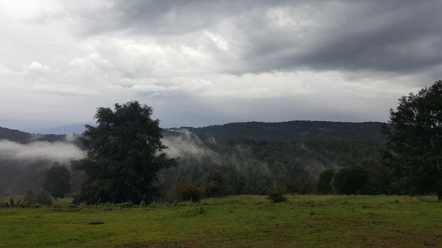 Canto Del Bosque Santuario De Las Luciernagas Oficinas