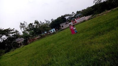 Photos of Raita