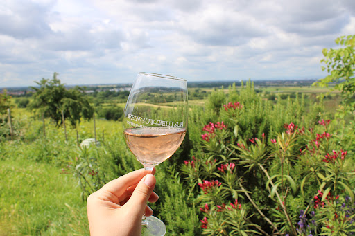 weinblick - Visual