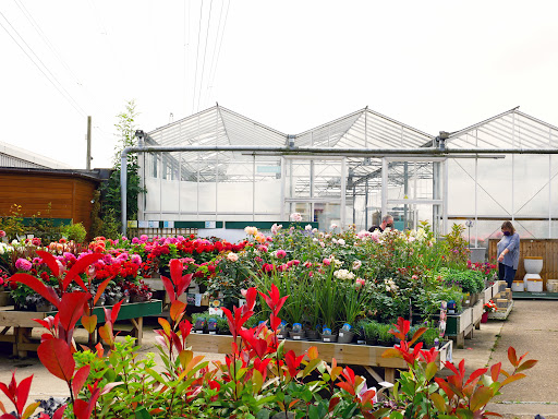 Grimsby Garden Centre Gallery - United Kingdom