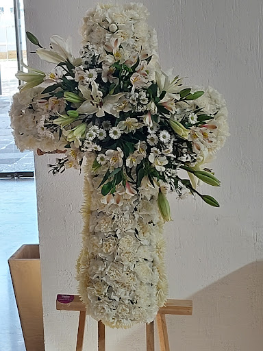 Protea Florería - Visual
