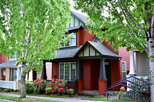 Profound Properties, LLC - Visual