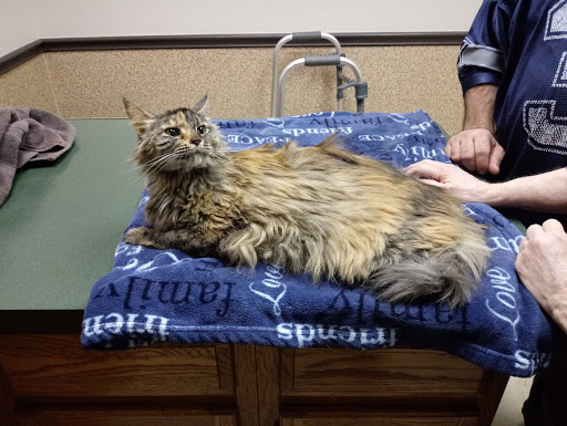 High Point Animal Hospital - Thumbnail