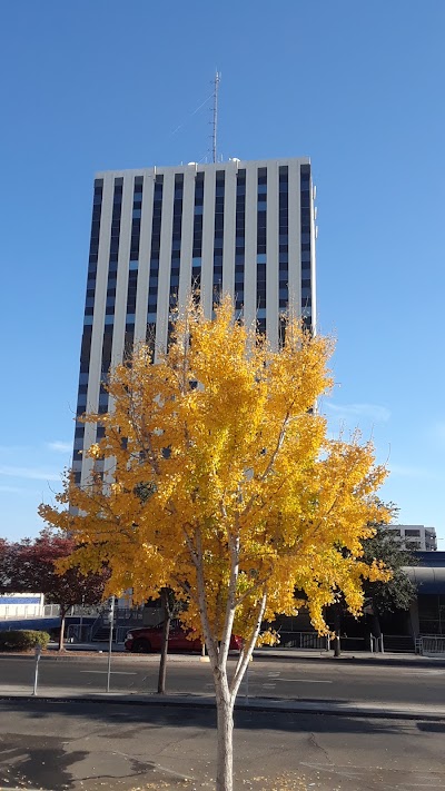 County Of Fresno Family Court Services