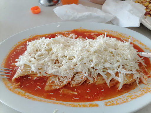 Restaurante Mata Verde Gallery - Mexico