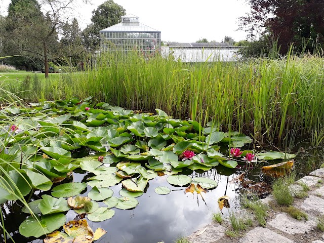 Botanical Volkspark Pankow Blankenfelde